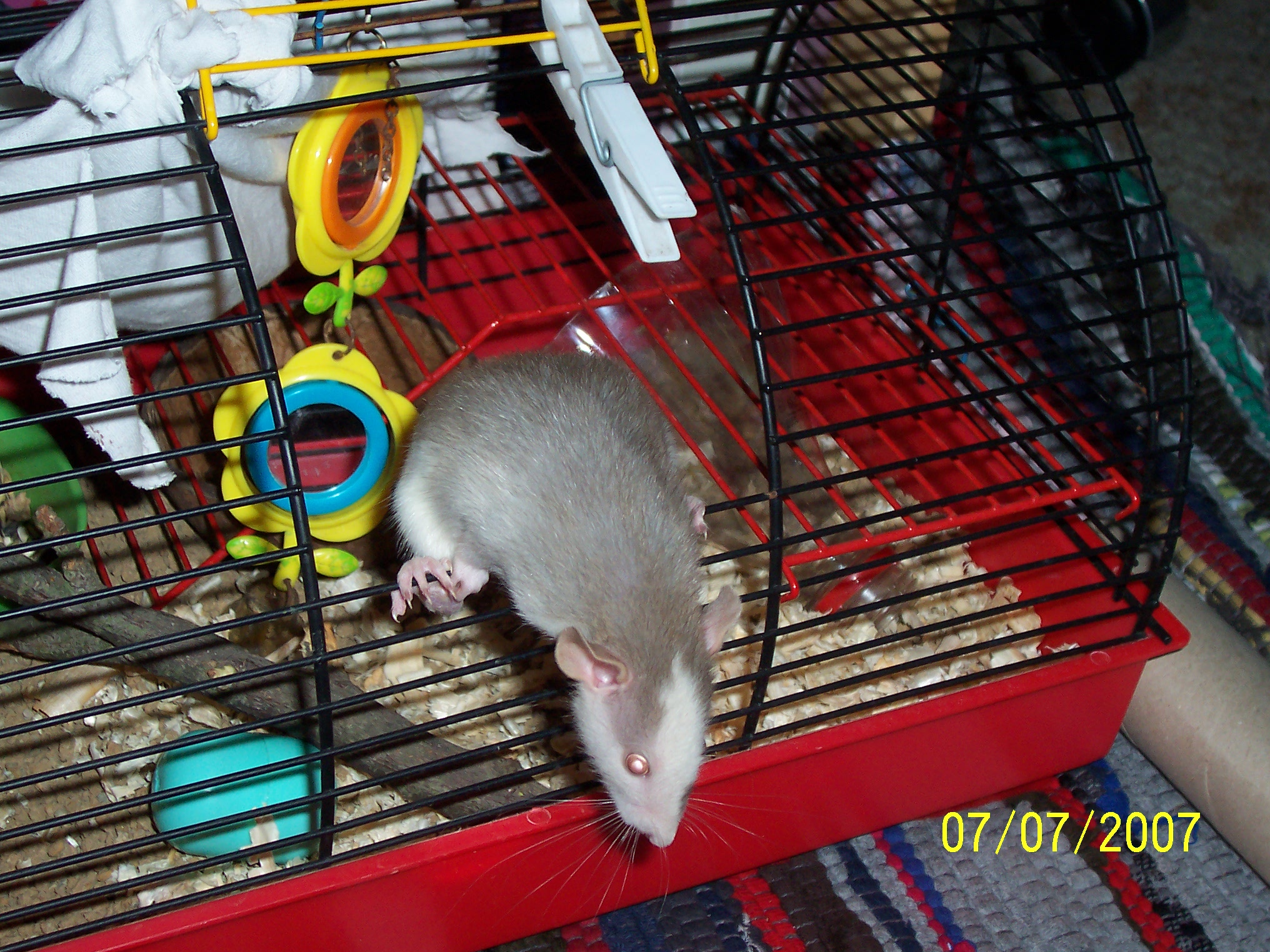 100_2494.JPG