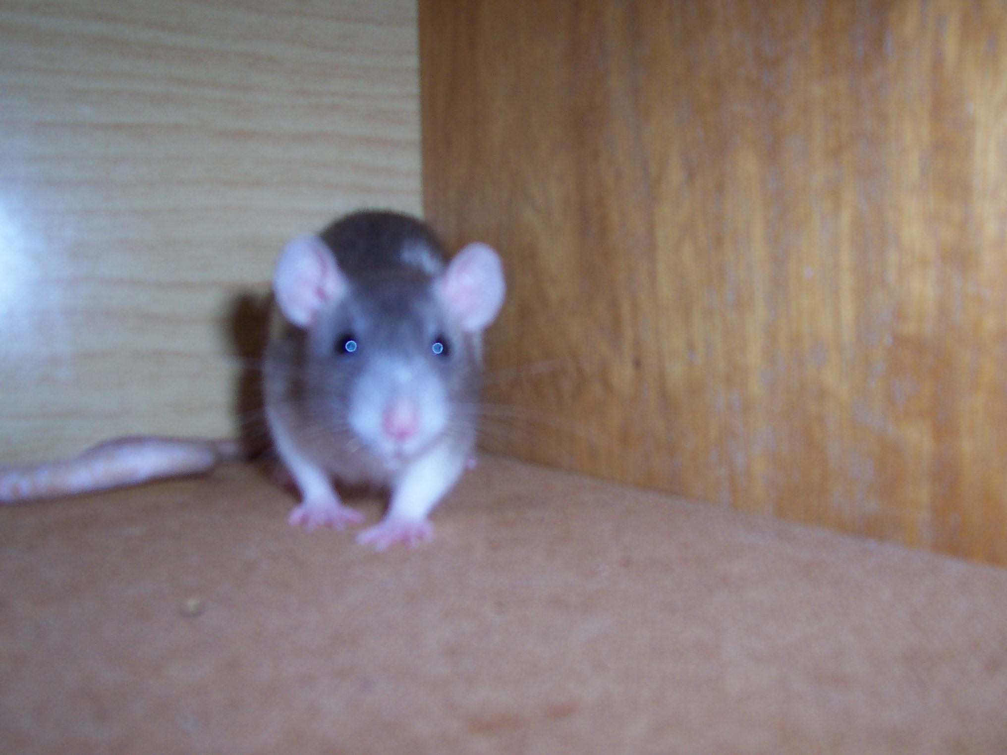100_3406.JPG